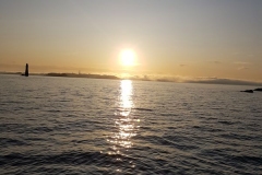 paysage